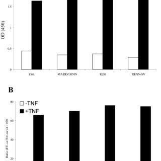 Tnf Induced Activation Of Nf B A Dna Binding Activity Of Nf B