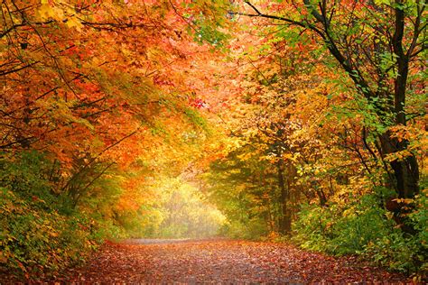 When And Where To View The Best Fall Foliage In Pa Pagetaway