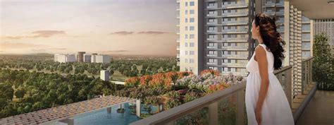 Dlf The Arbour Luxury Apartments Sector Gurgaon