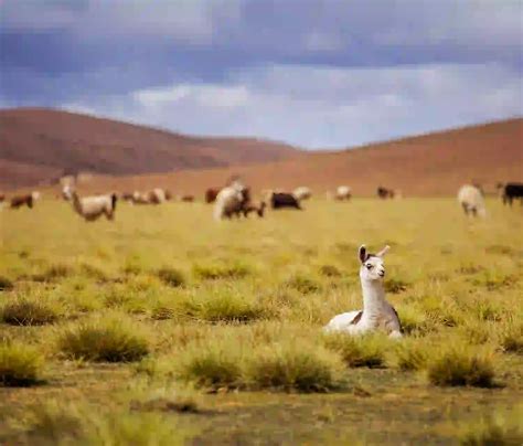 Destinos En Sudam Rica Para Hacer Valer El Verano