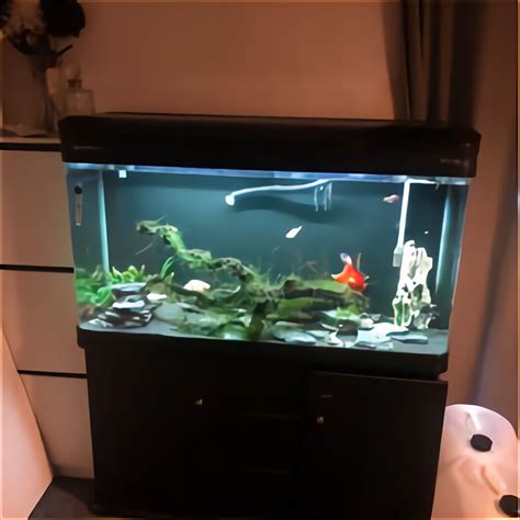 Round Fish Tank for sale in UK | 58 used Round Fish Tanks