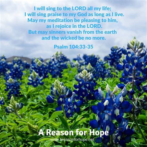 Psalm 104:33-35 — A Reason for Hope with Don Patterson