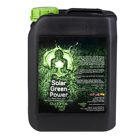 Buddhas Tree Solar Green Power 5L Hydro Harvest