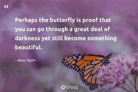 74 Beautiful Butterfly Quotes Inspiring Appreciation 2025