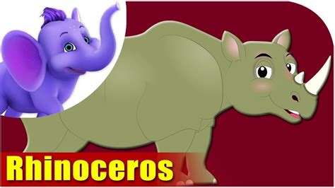 Animal Rhymes For Kids Rhinoceros Song Youtube