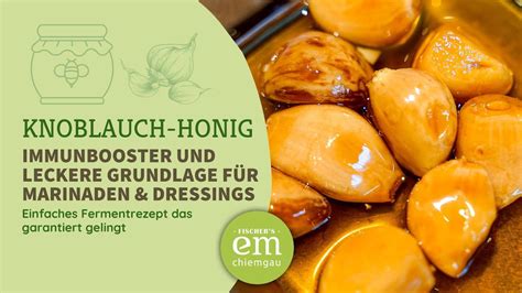 Knoblauch Honig ganz einfach selber fermentieren Immunboost Küchen