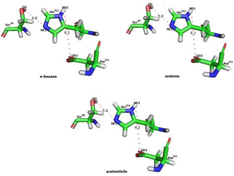 Orientation of triad catalytic residues (Ser, His, Asp) on catalytic... | Download Scientific ...