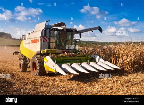 Claas Lexion Combine Harvester Harvesting Maize Sweet Corn Crop