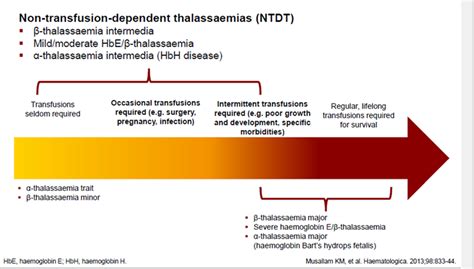 Thalassemia Minor And Pregnancy - Marriage In Thalassemia Patients Letshelpsome1 / They are not ...