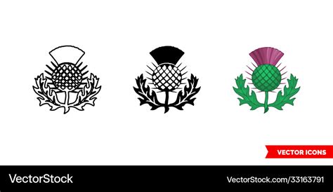 Thistle symbol scotland icon 3 types color Vector Image