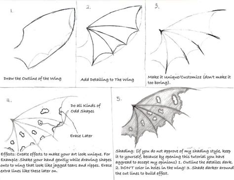 four different types of wings and how they are used to draw them with ...