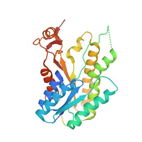 RCSB PDB 1MXH Crystal Structure Of Substrate Complex Of Putative