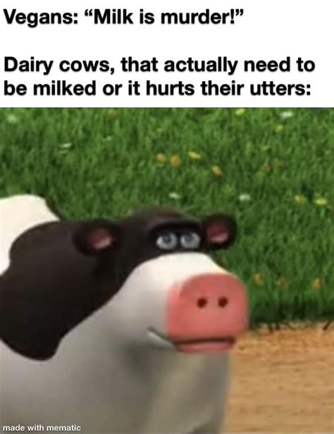 Cow Meme Soon