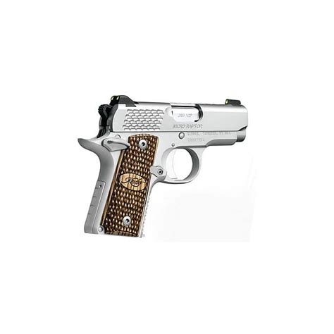 Kimber Micro Raptor Stainless 380 Acp W Night Sights ★ The Sporting