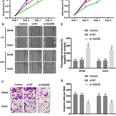 Knockdown Of Hsa Circrna 102209 Inhibits The Proliferation Migration Download Scientific