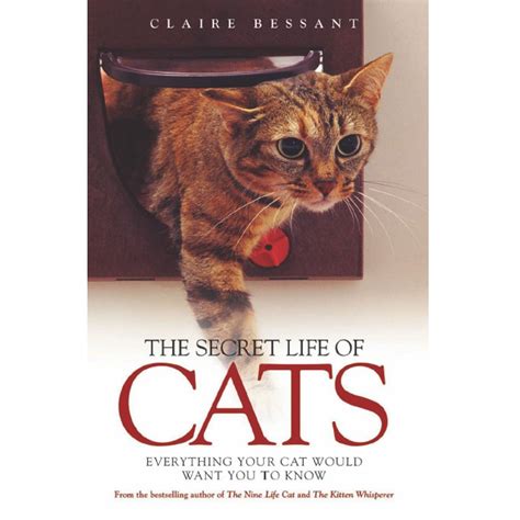 The Secret Life of Cats – Shop Playpens