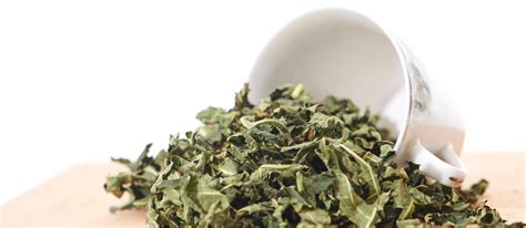 fig leaf tea amazing health benefits