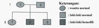 Perhatikan Peta Silsilah Keturunan Hemofili Berikut Hot Sex Picture