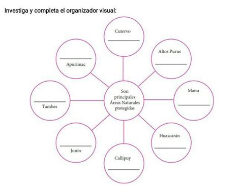 Investiga Y Completa El Organizador Visual Brainly Lat