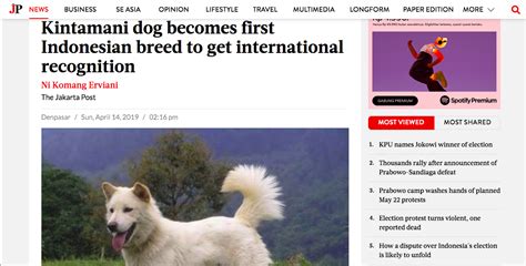 Kintamani Dog Becomes First Indonesian Breed To Get International