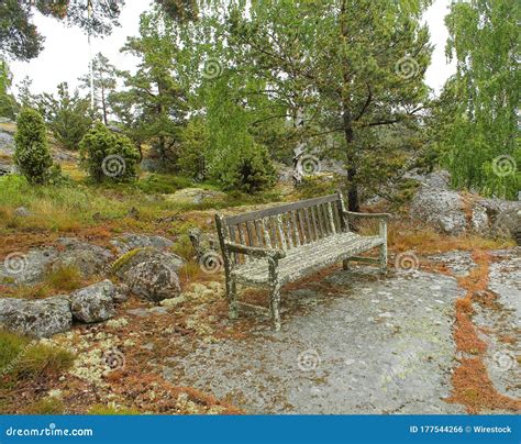 Beautiful Shot Of An Old Wooden Bench In A Park Stock Photo Image Of