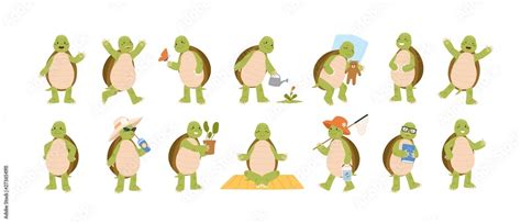 Collection of funny adorable tortoise isolated on white background. Set ...