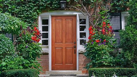 4 Plantas Que Son Ideales Para Colocar En La Entrada De Tu Casa Y Darle