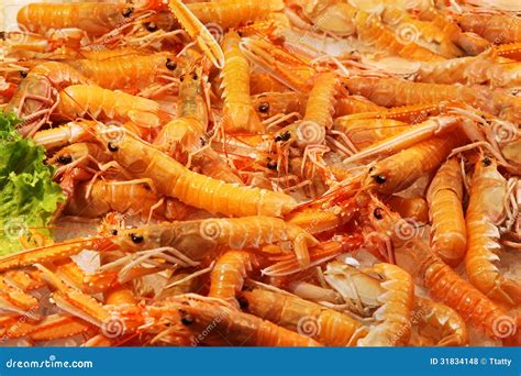 Shrimps Pile Stock Photo Image Of Shrimp Shellfish