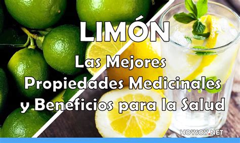 El Limón Las Mejores Propiedades Medicinales Y Beneficios Revista Digital