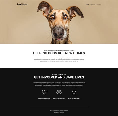 15 Best Free Animal And Pets Templates