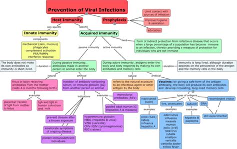 Vaccines And Antivirals Flashcards Quizlet