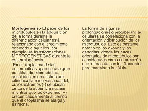 Matriz Citoplasm Tica Y Citoesqueleto Ppt