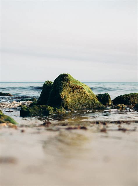 Rock Stone Moss Sea Horizon Hd Phone Wallpaper Peakpx