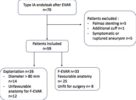 Management Of Type Ia Endoleak After Evar By Explantation Or Custom