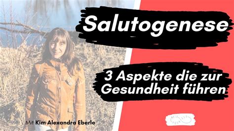 Salutogenese Drei Aspekte Die Zu Gesundheit Führen Youtube