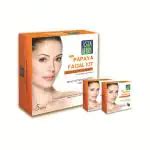 Buy Astaberry Facial Kit Papaya Gm Online At Best Prices In India