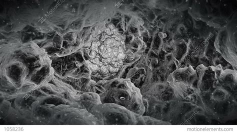 Electron Microscope View At The Alien Virus Stock Animation