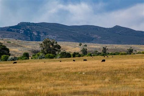 Bixby Ranch For Sale In Glenrock Wy Converse County Farm And Ranch