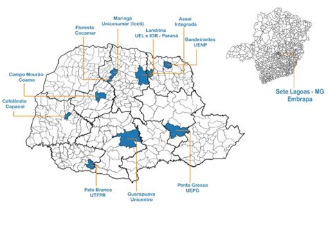 NAPI Enfezamento do Milho iAraucária