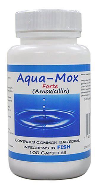 Midland Vet Services Aqua Mox Forte Amoxicillin Fish Antibiotic 100