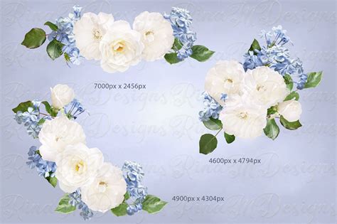 Flores azules y blancas Imágenes prediseñadas Roses Clipart Etsy