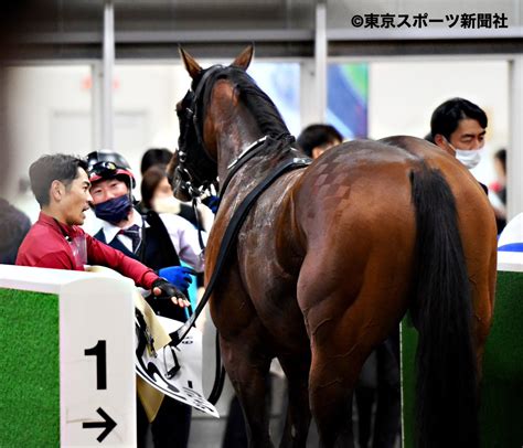 東スポ 写真部 On Twitter 2022年10月22日 競馬 レース 6r メイクデビュー東京 （ 2歳新馬 ） 1着15番