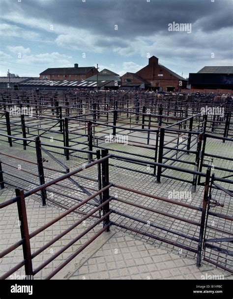 Banbury Cattle Market Hi Res Stock Photography And Images Alamy