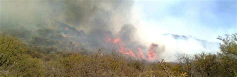 Vientos Mucho Calor Y Riesgo Extremo De Incendios Alta Info