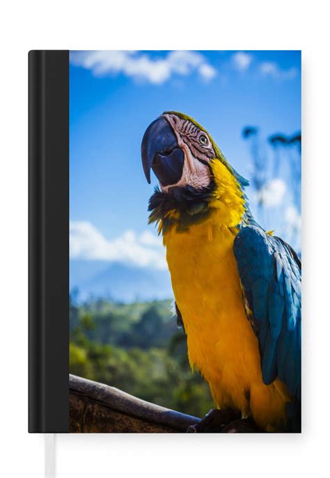 Carnet Carnet D Criture Vogel Perroquet Jaune Carnet