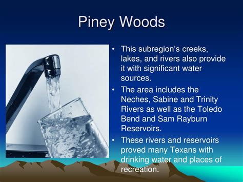 Ppt The Gulf Coastal Plain Region Powerpoint Presentation Free Download Id3037064