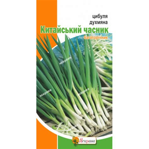 Семена Лук Китайский чеснок (душистый лук) 0.5 г - купить с доставкой ...