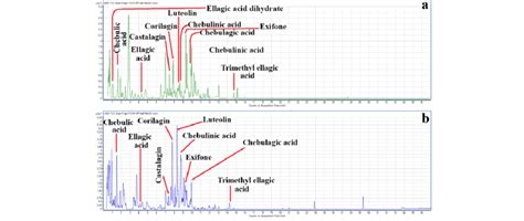 A Positive And B Negative Ion Rp Hplc Total Compound Chromatograms