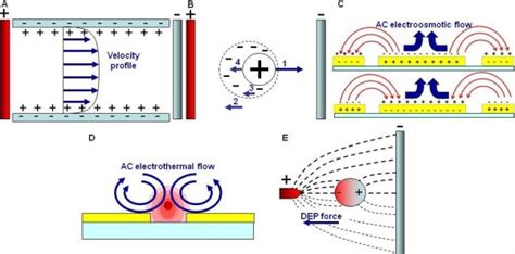 Electrokinetic Platform A Schematic Of The Formation Of Electrical