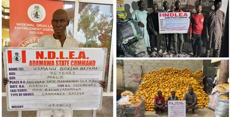 Ndlea Arrests 75 Year Old Grandpa 21 Others For Drugs Trafficking Thisdaylive